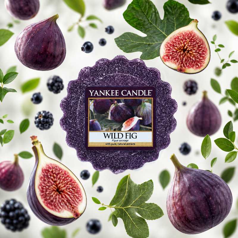 Wild Fig illatú mini viasz